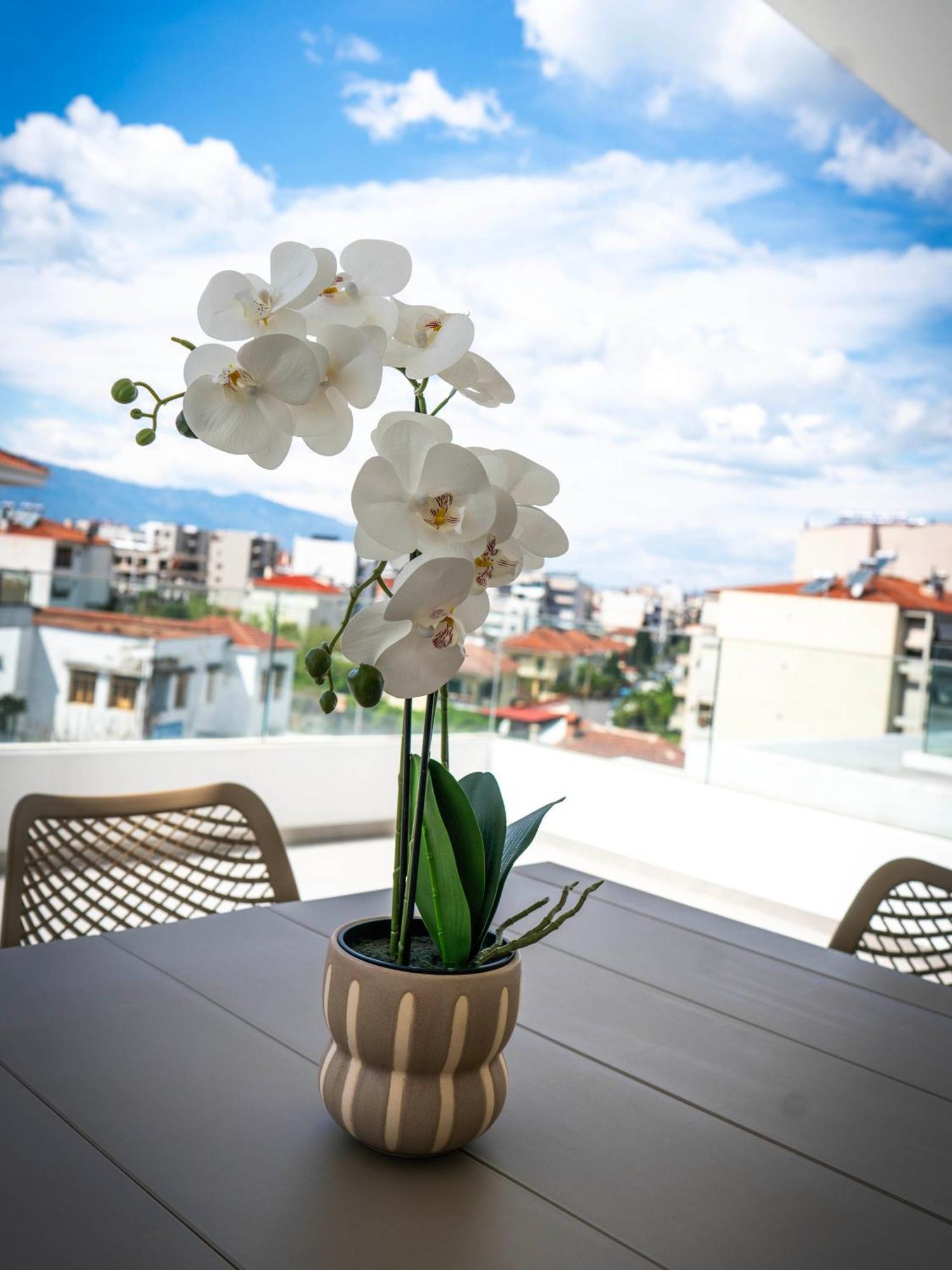 White Luxury Apartment Τρίκαλα Εξωτερικό φωτογραφία